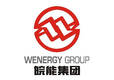 皖能铜陵发电有限公司（#5机组凝输泵）节能改造