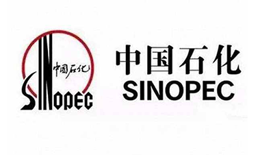 中国石化湖北化肥厂(循环水泵)节能改造