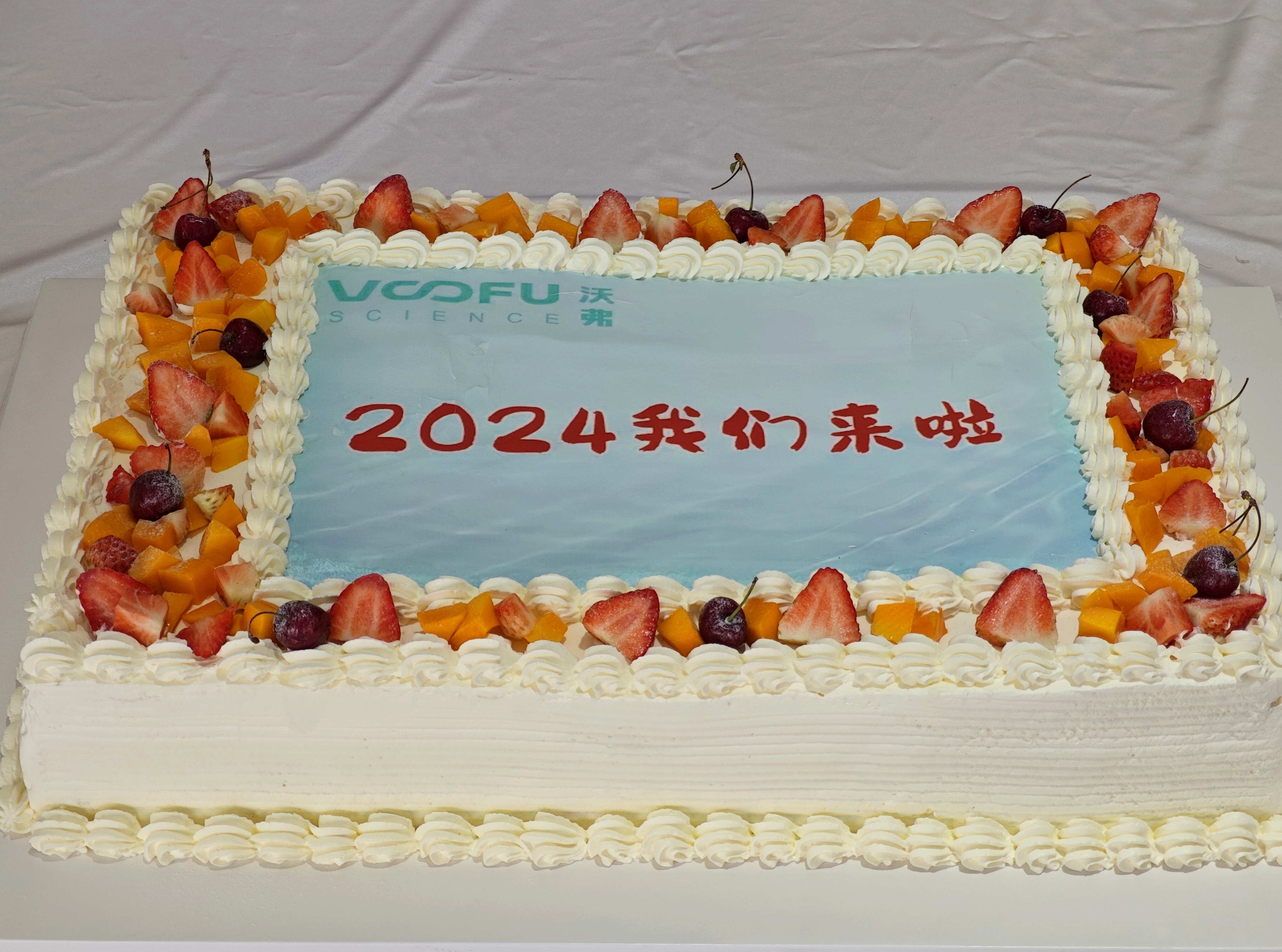 庆元旦·迎新年|沃弗永磁科技开展主题下午茶及拓展活动