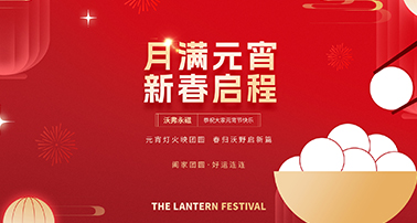 元宵灯火映团圆 · 春归沃野启新篇｜沃弗永磁恭祝大家元宵节快乐！